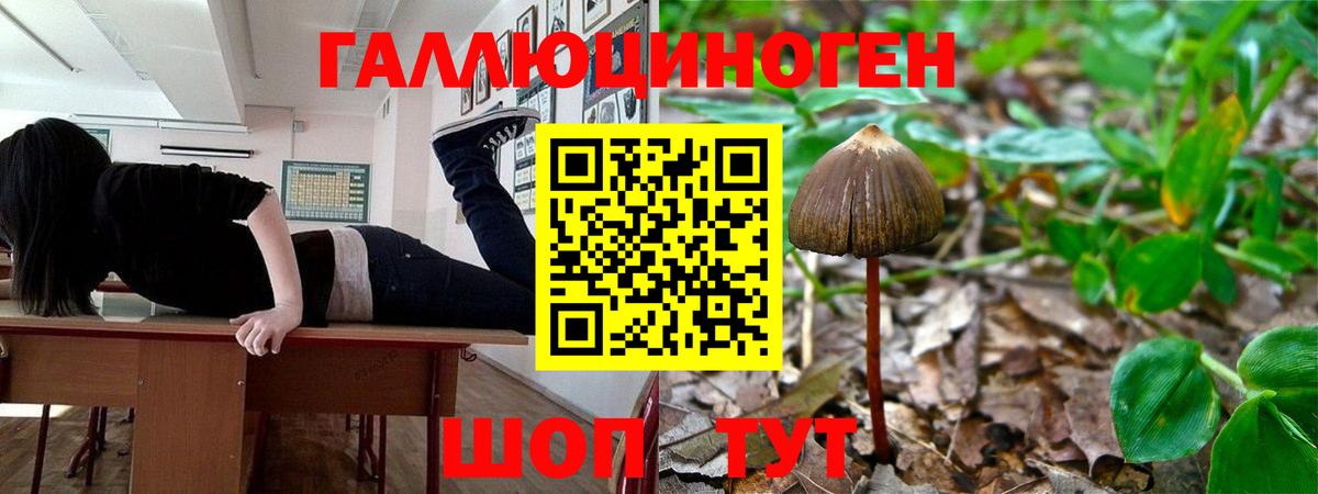 Псилоцибиновые грибы прущие грибы Прокопьевск