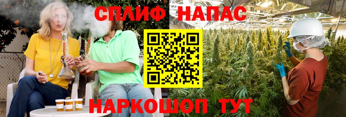 Конопля тримм  Вход с VPN  Бошки марихуана тримм  Канабис MAZAR  Прокопьевск 